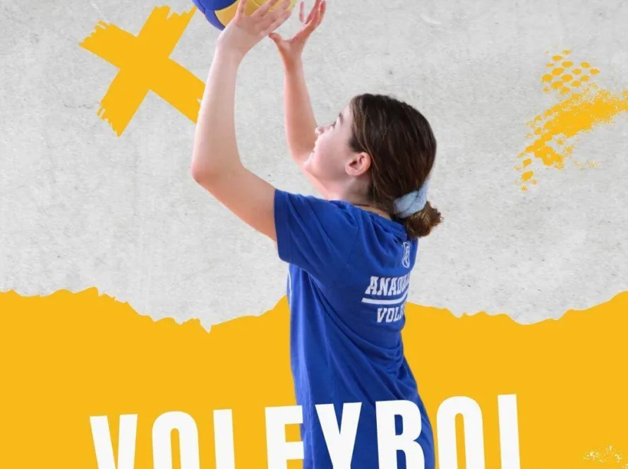 voleybol